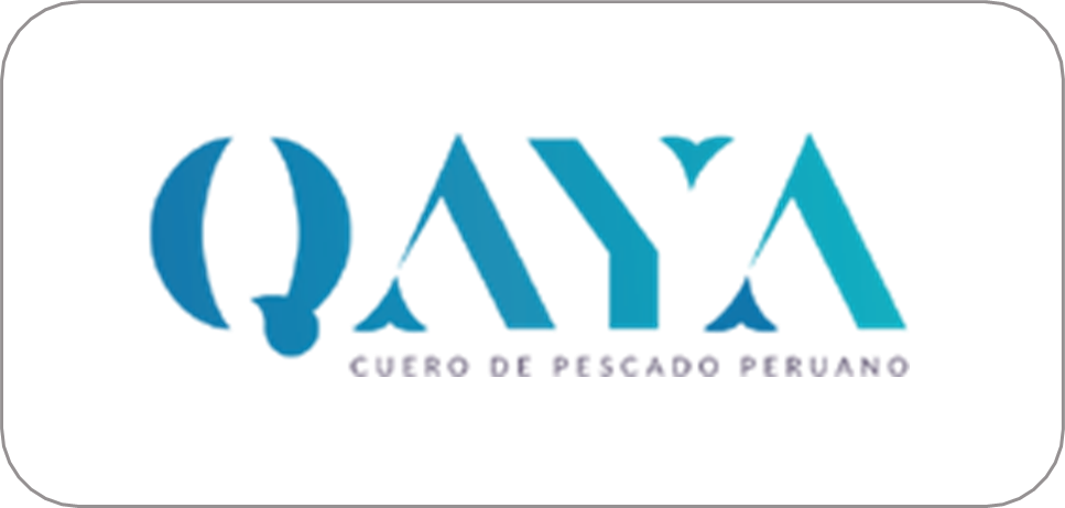 Aliado 13
